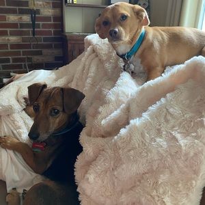 Meet your Posher, Kaitlyn